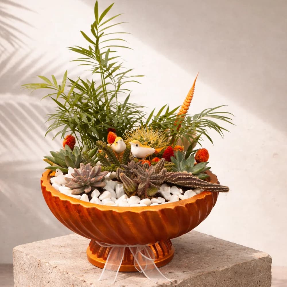 Kaktüs ve Sukulent Aranjmanı